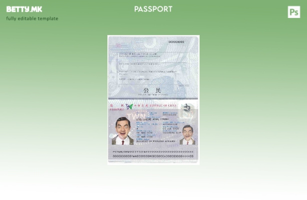 Шаблон за пасош на Тајван во модерен стил